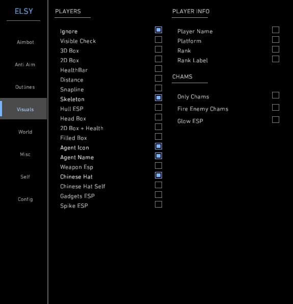 Valorant Internal preview 3